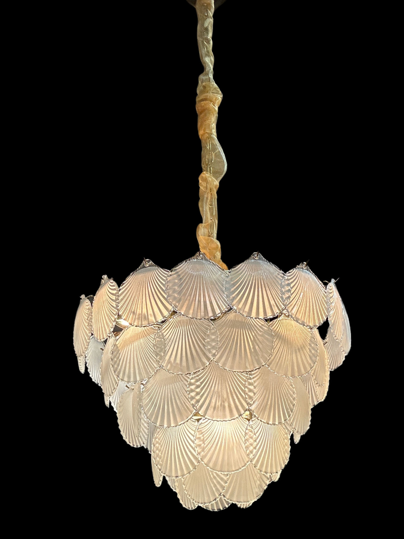 Shell Chandelier, 60 cm