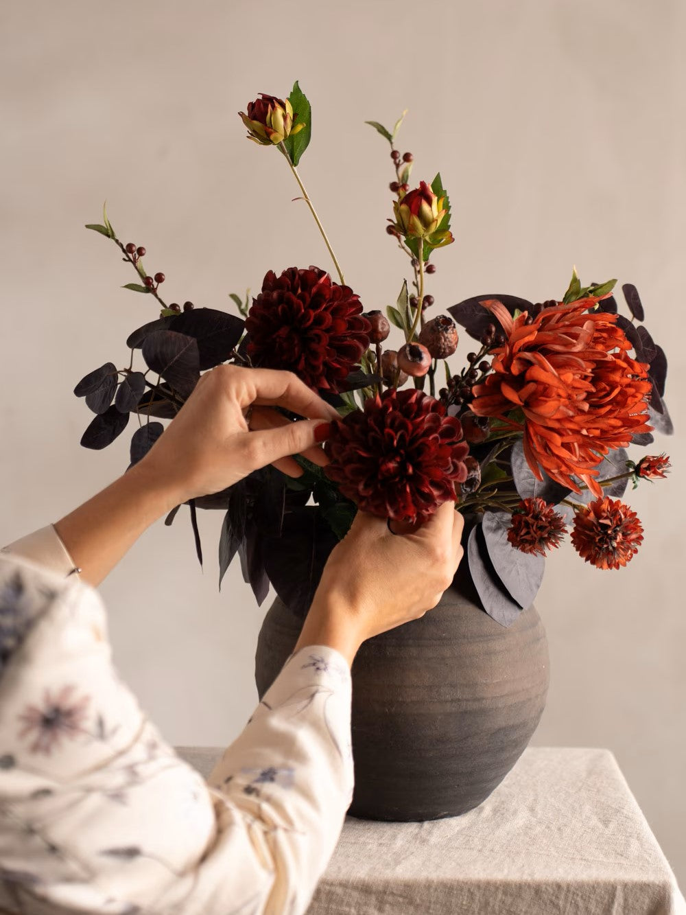 Dahlia, Burgundy