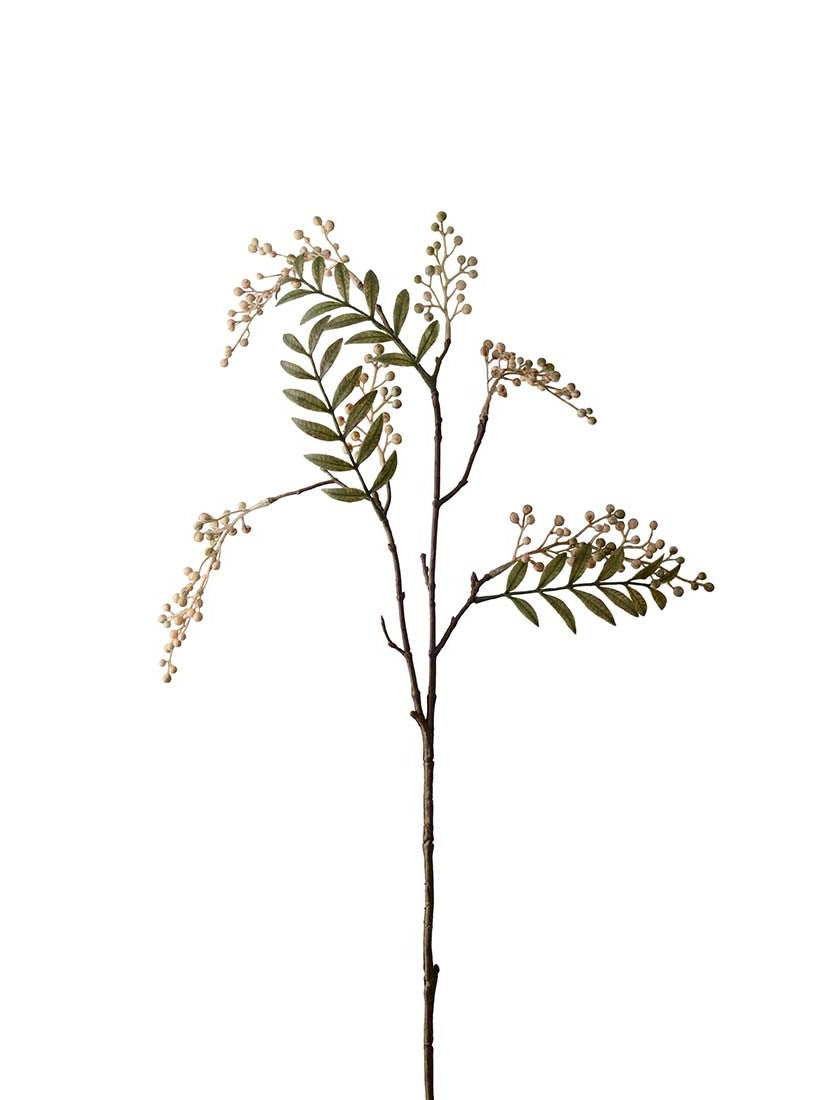 Bärkvist, Creme