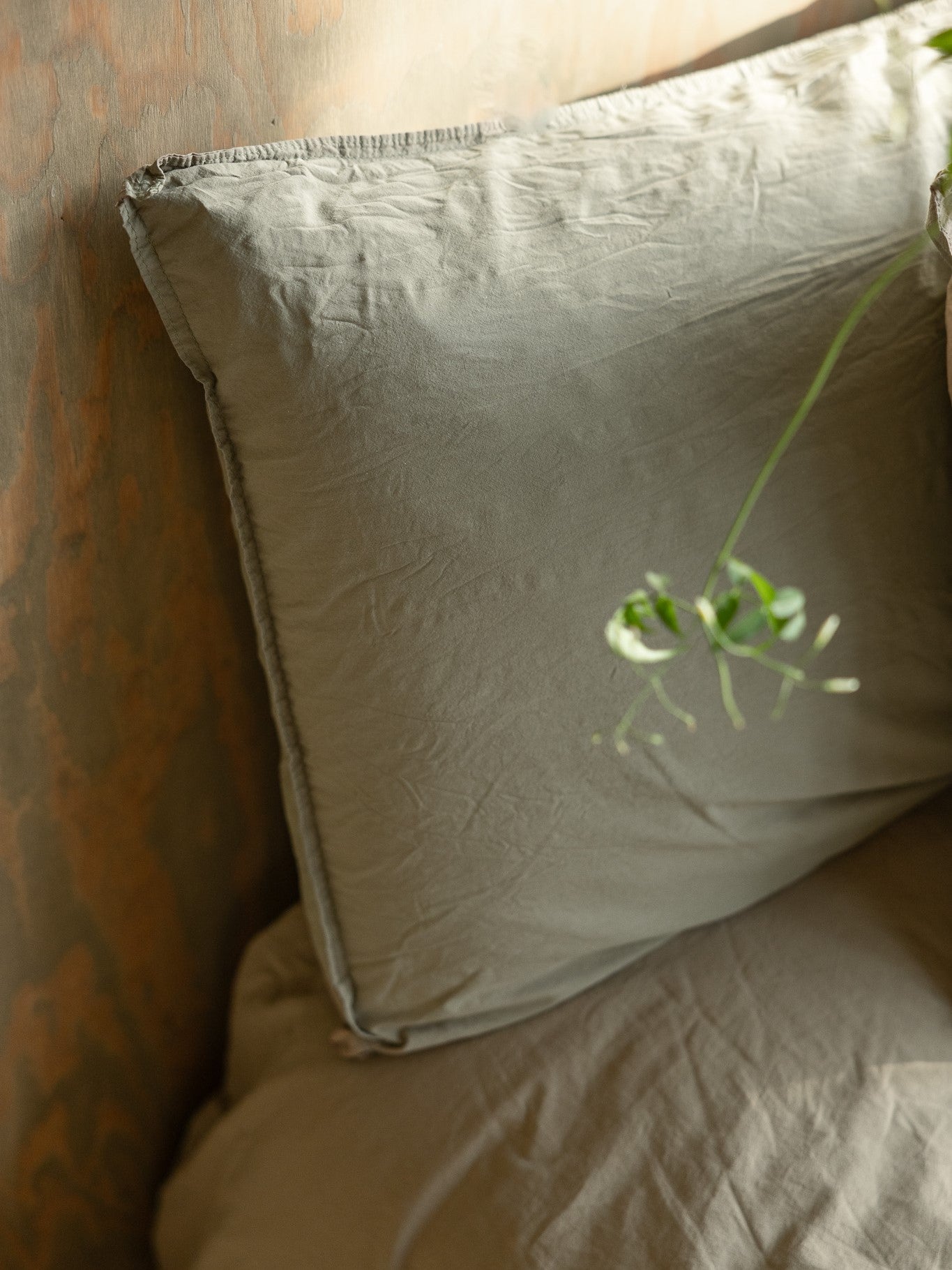 Crinkle Påslakanset, Sage