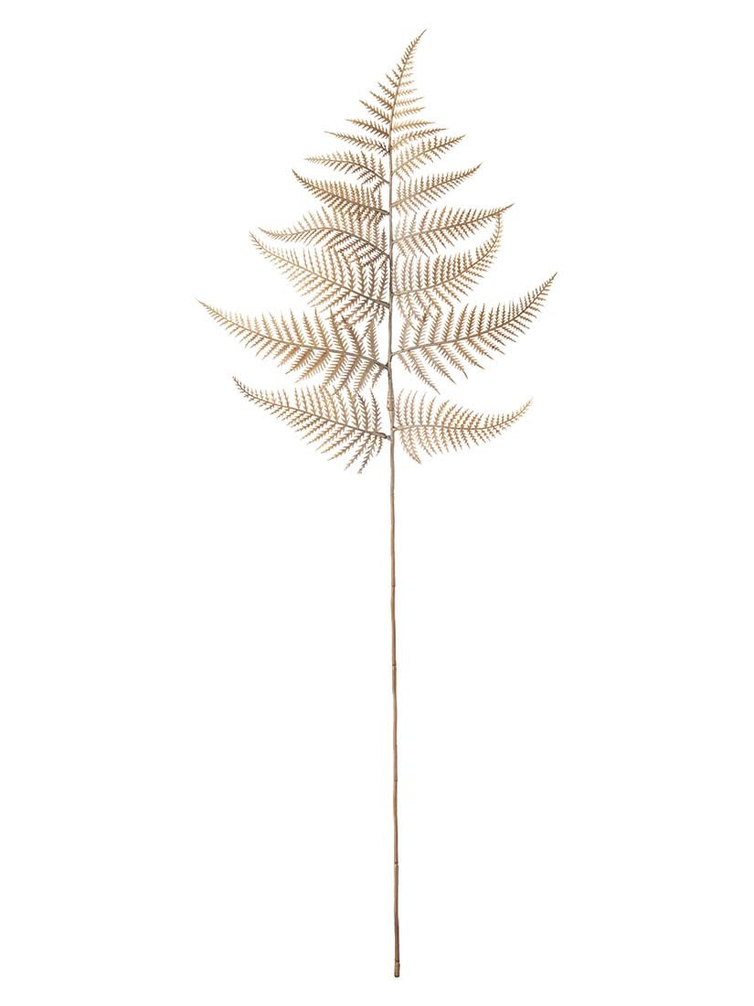 Ormbunksblad, Beige