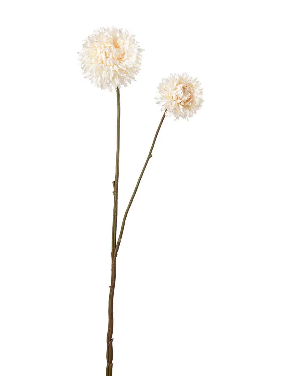 Chrysanthemum, Creme, 65 cm