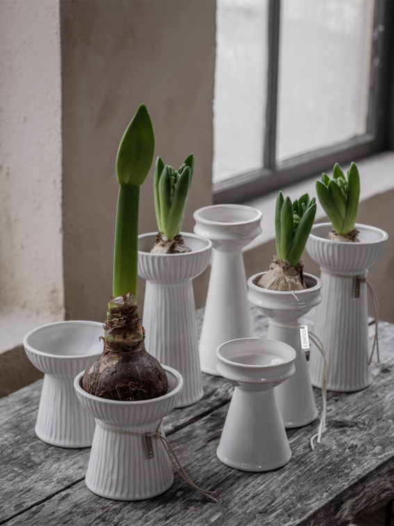 ERNST Lökvas Keramik, 16 cm, Vit