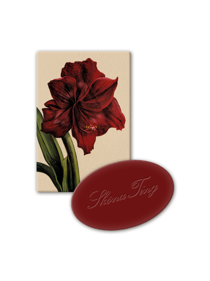 Gästtvål 25g, Juläpple