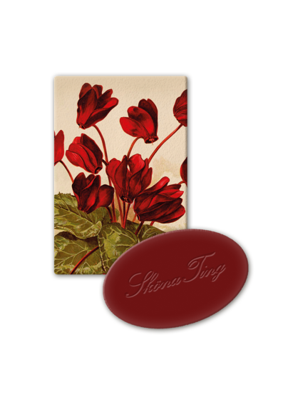 Gästtvål 25g, Juläpple