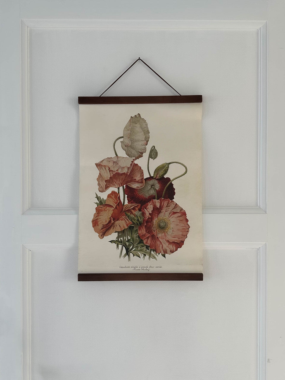 Poster Vallmo, 35x50 cm