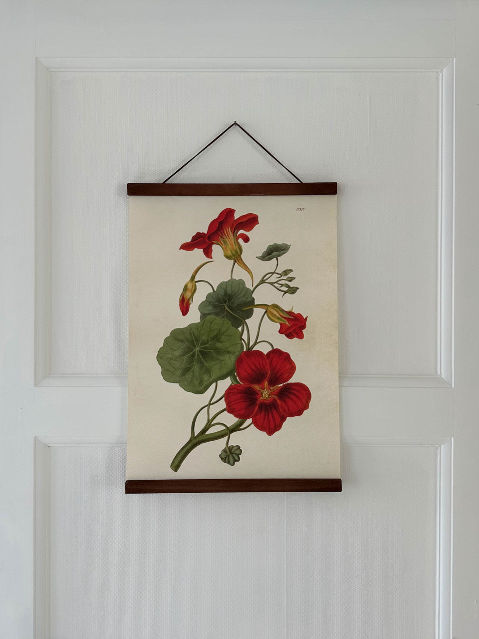 Poster 35x50 cm, Krasse