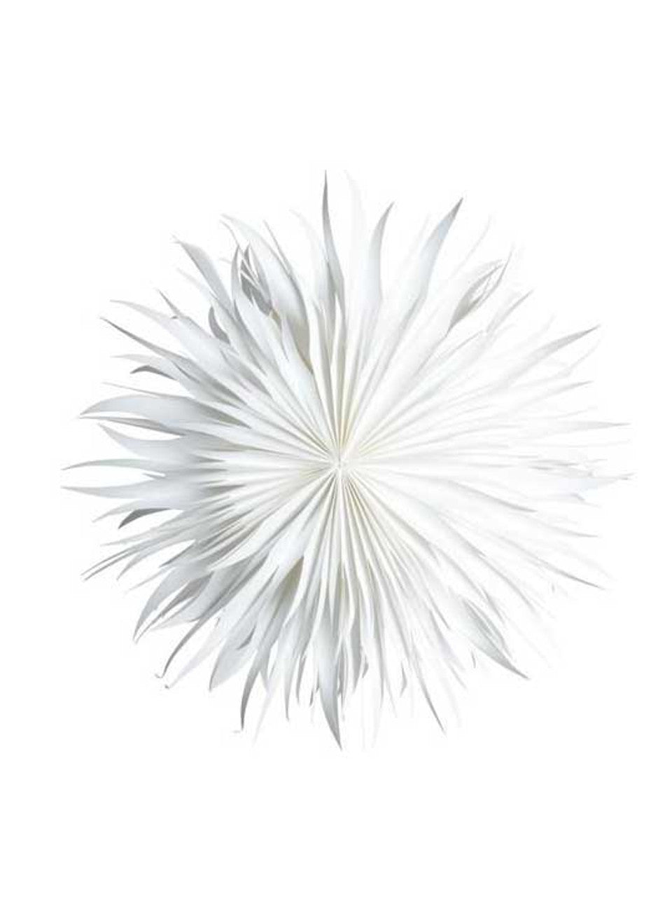 Adventsstjärna Eld 50, Vit