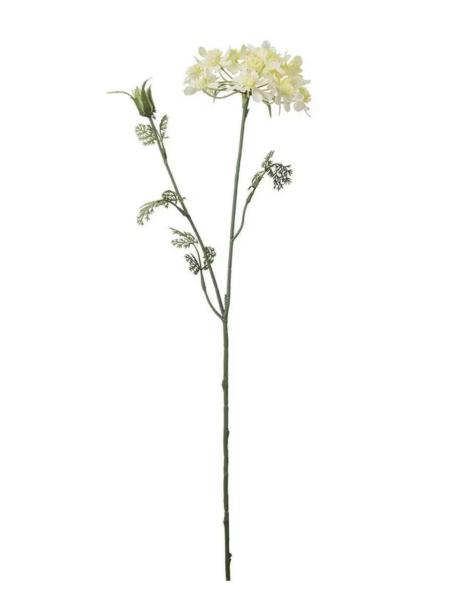 Blomsterkörvel, Gul