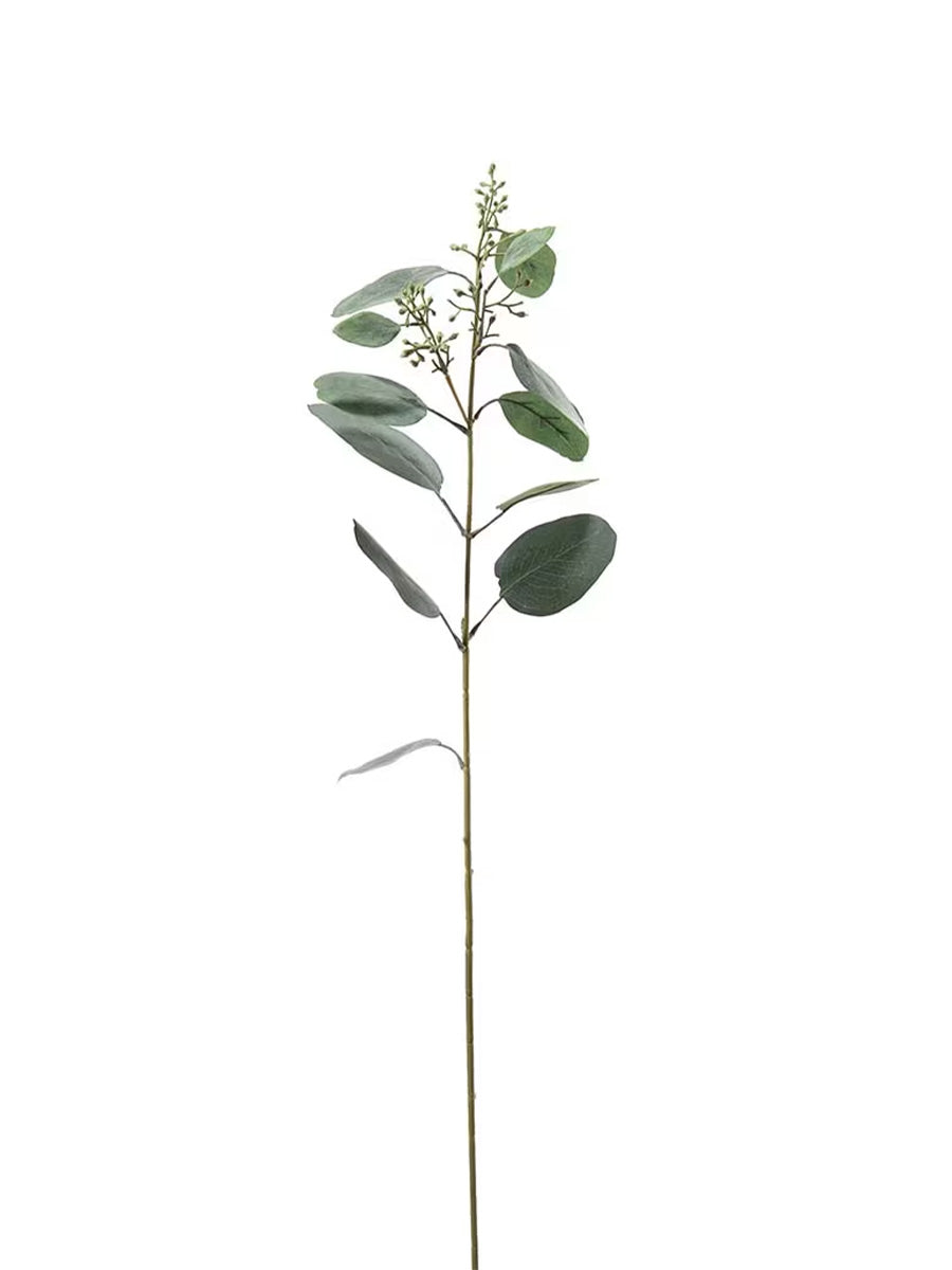 Eucalyptus, 87 cm