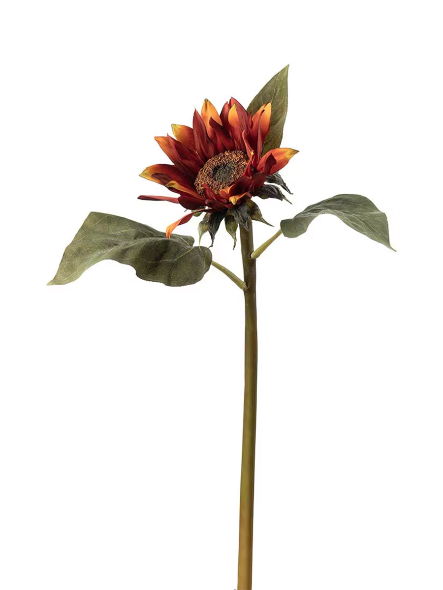Solros, Orange, 50 cm