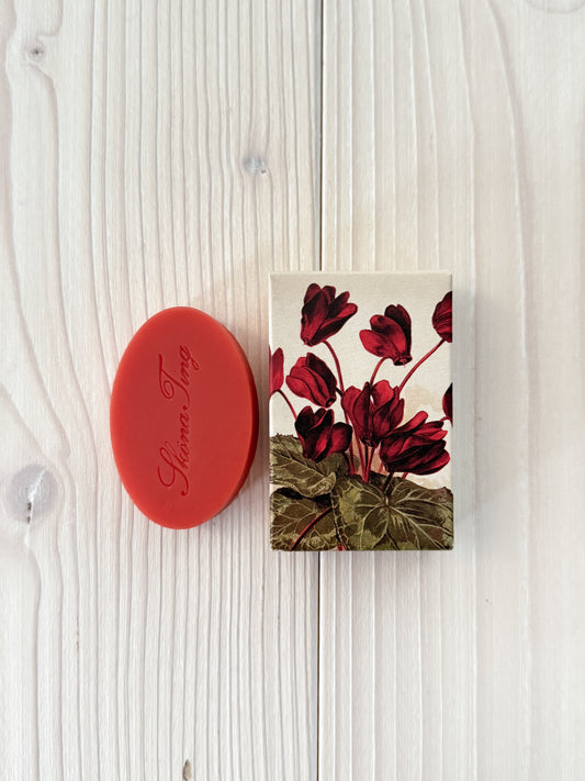 Gästtvål 25g, Juläpple