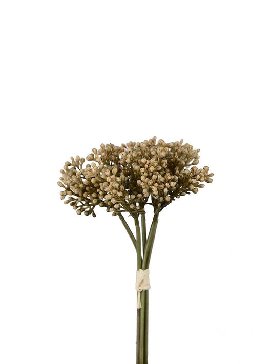 Sedumbunt