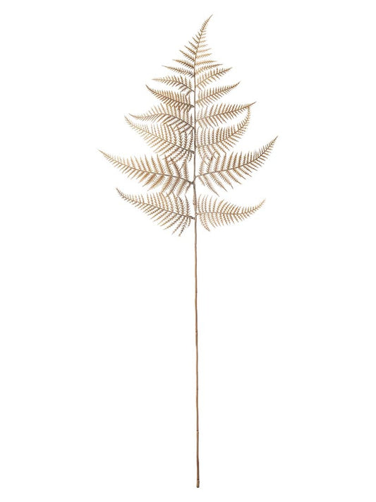 Ormbunksblad, Beige