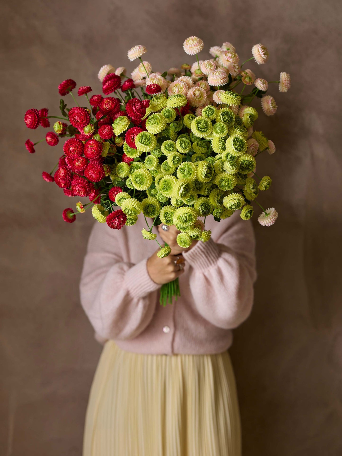 Chrysantemum, Rosa