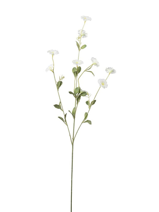 Blomma För Dagen