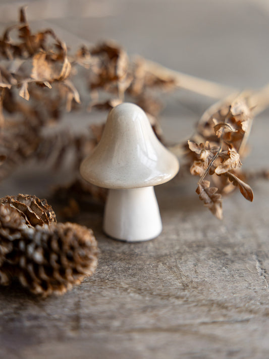 Bosten Svampdekoration, Beige