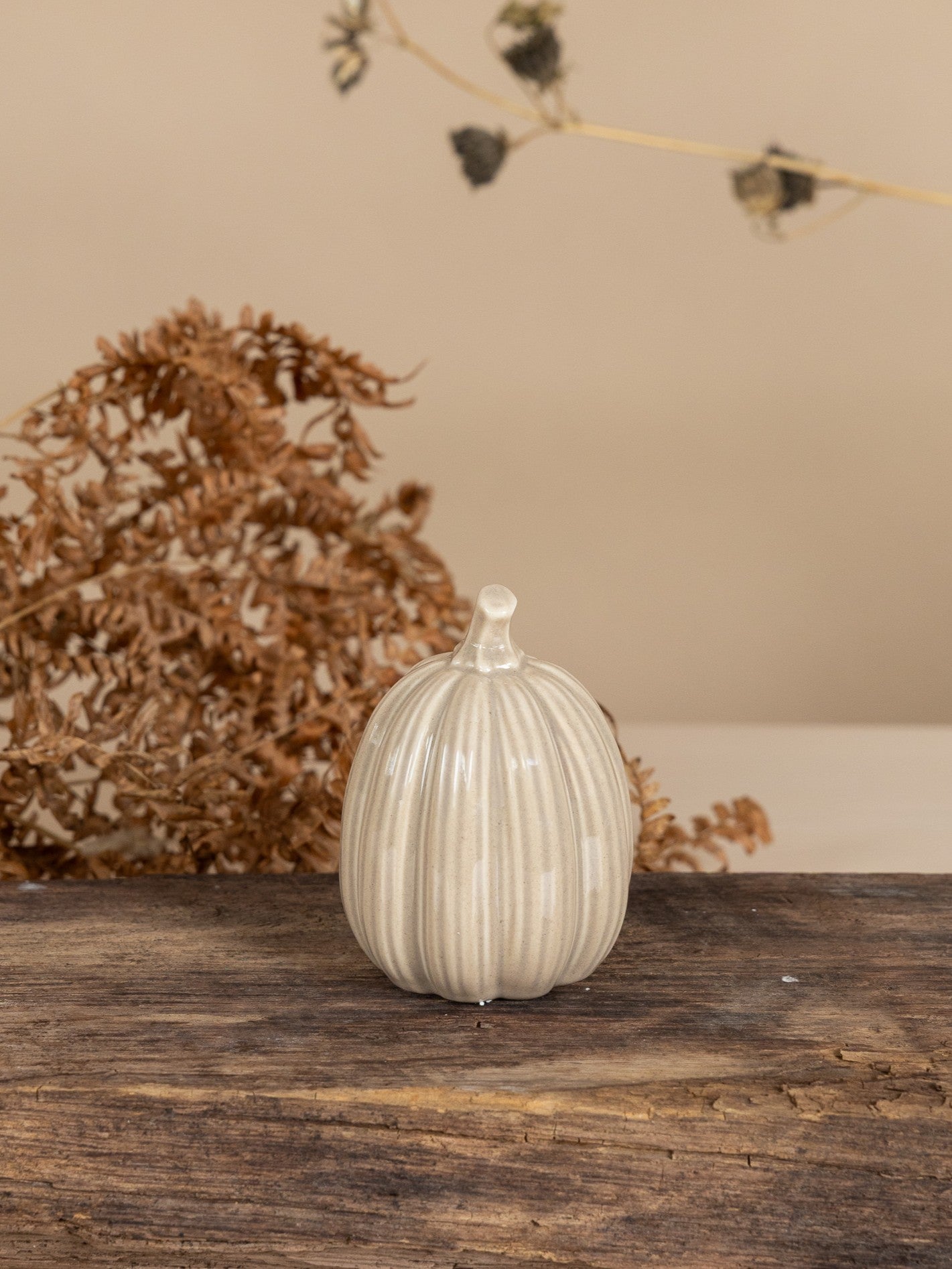 Tranhult Pumpa, Beige, Stor