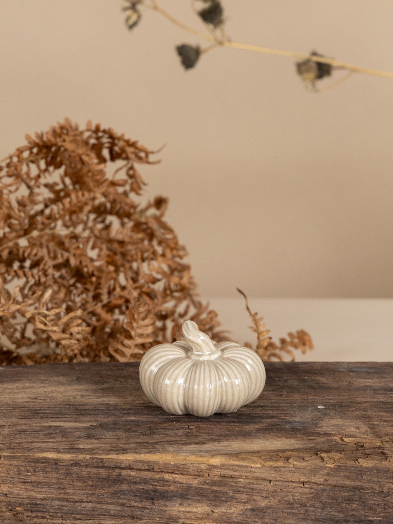 Ekåsen Pumpa, Beige