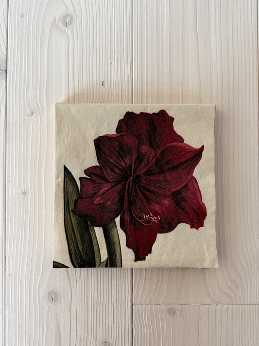 Pappersservetter, 20-pack, Amaryllis