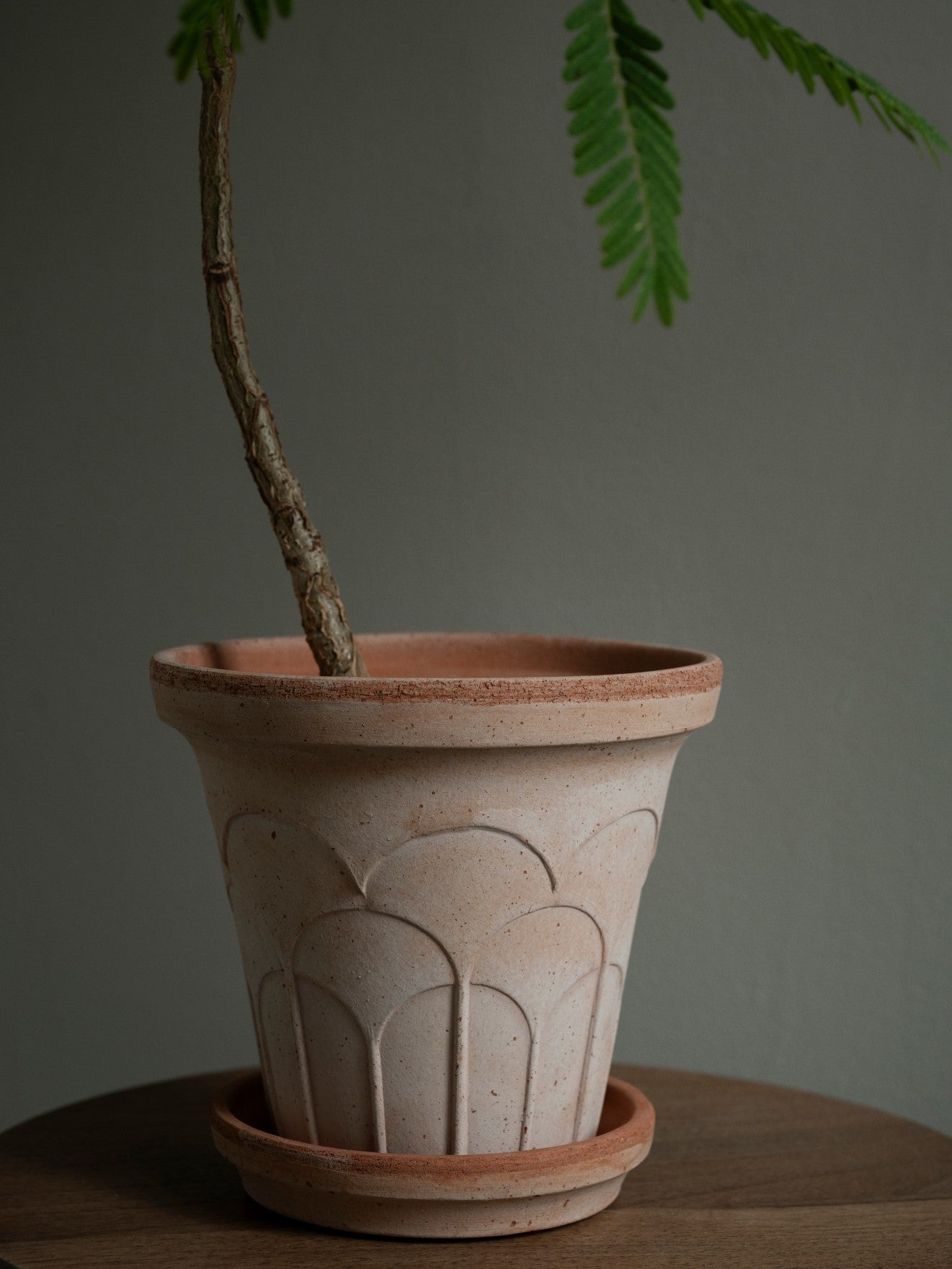 Fleur Kruka med Fat, Raw Rosa