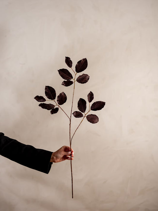 Avenbok, Burgundy, 77 cm