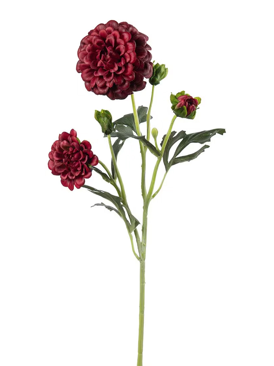 Chrysanthemum, Burgundy, 52 cm