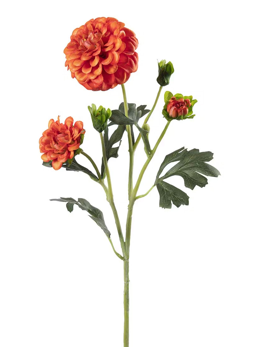 Chrysanthemum, Orange, 52 cm