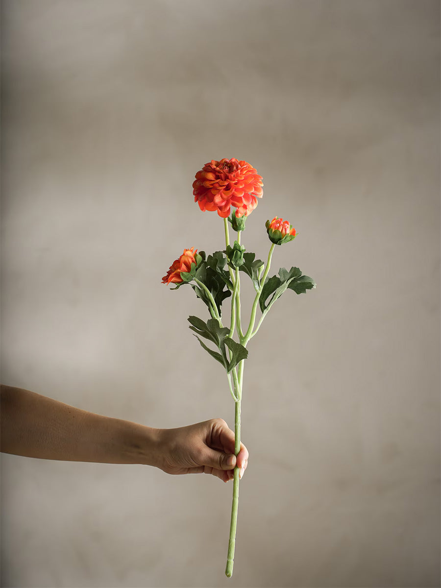 Chrysanthemum, Orange, 52 cm