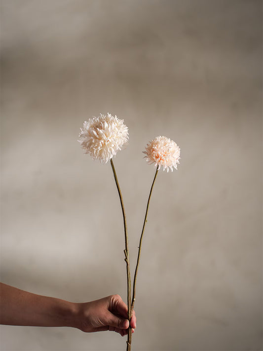 Chrysanthemum, Creme, 65 cm