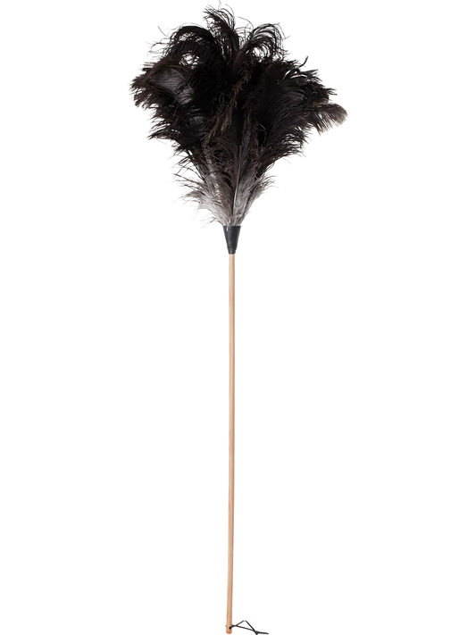 Dammvippa Strutsfjäder, 110 cm