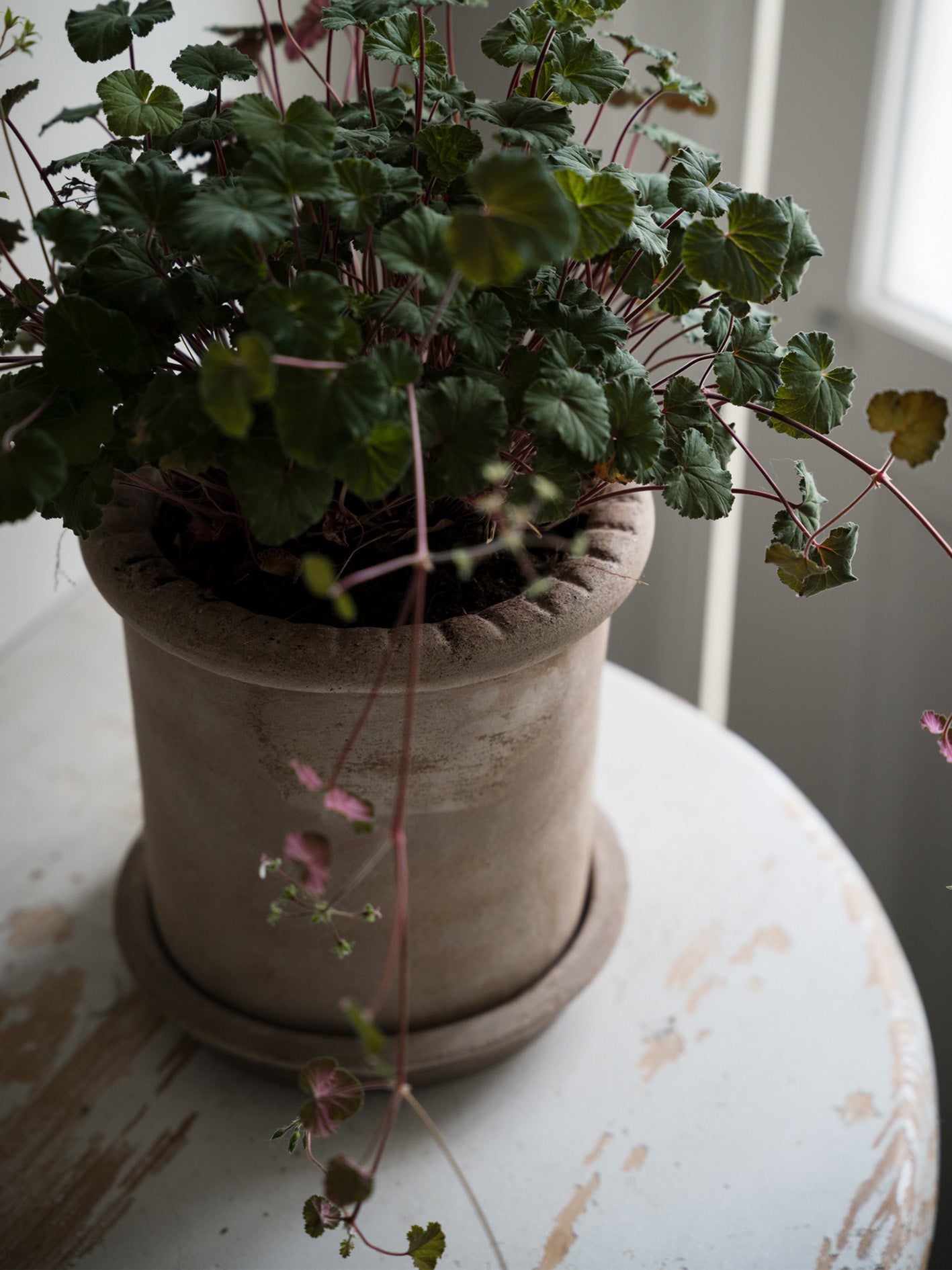 Ernst Terracottakruka, 20 cm