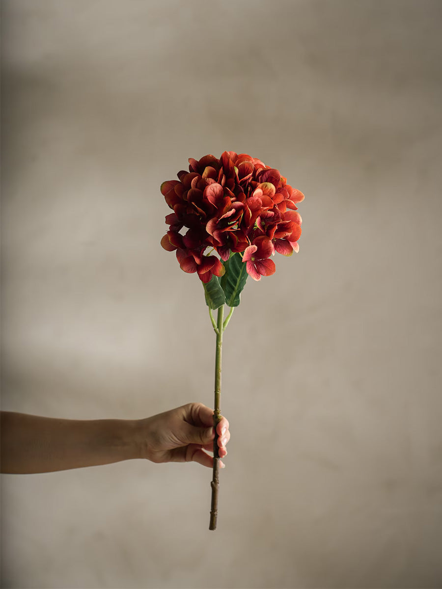 Hortensia, Orange, 58 cm