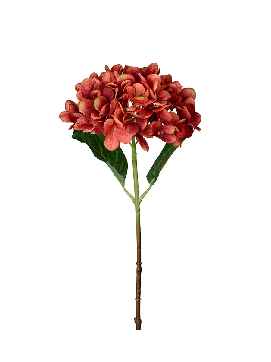 Hortensia, Orange, 58 cm
