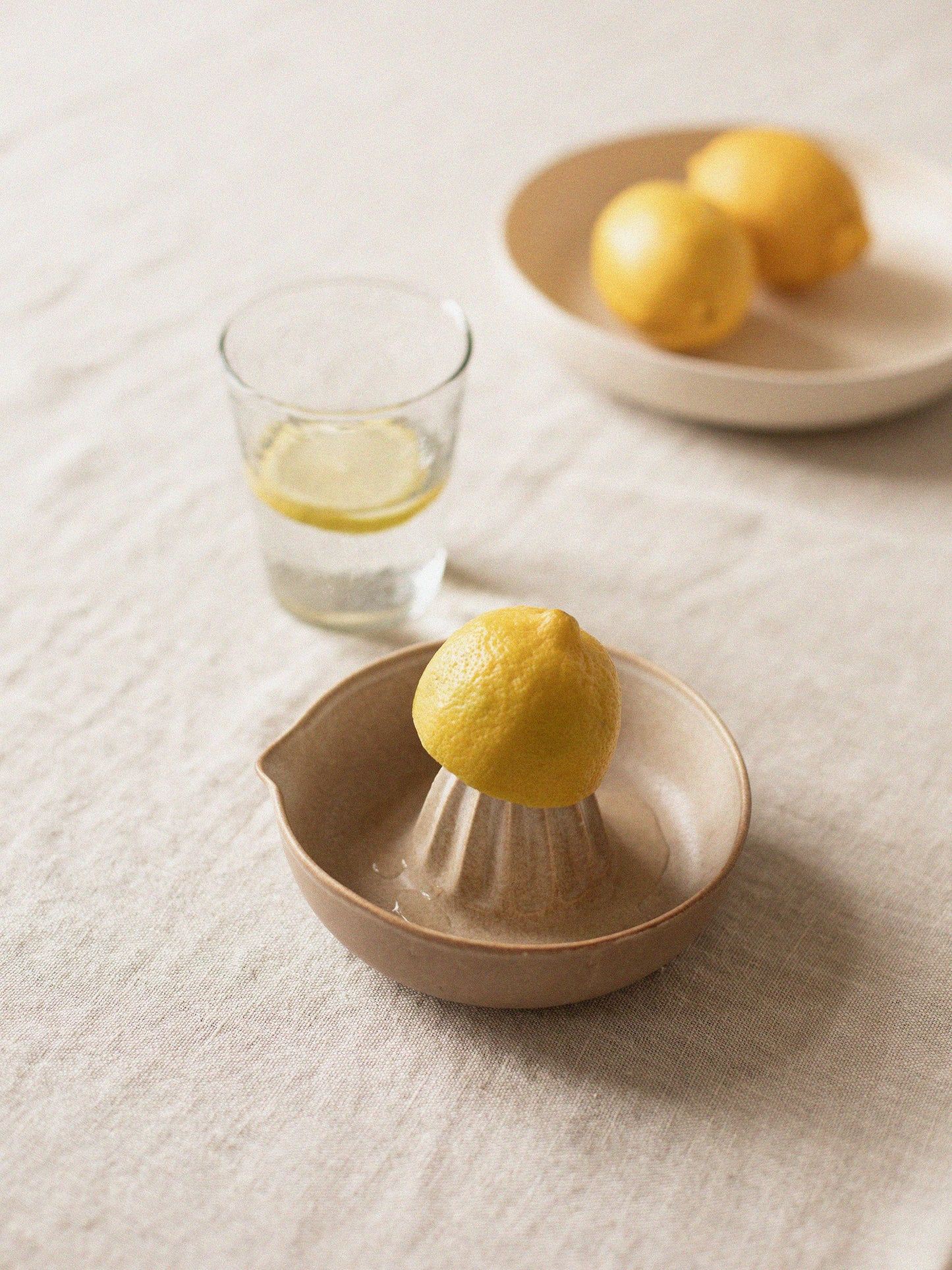 Palermo Citruspress, Stengods