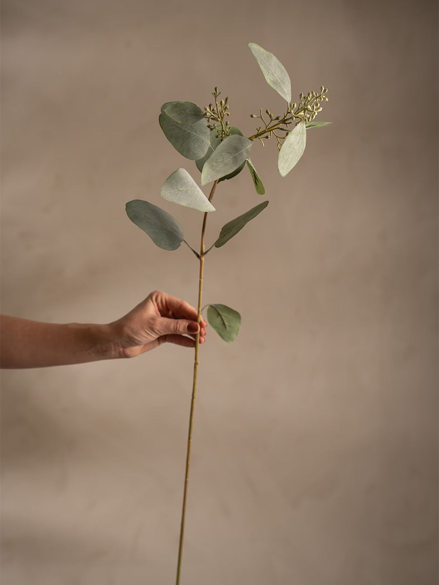 Eucalyptus, 87 cm