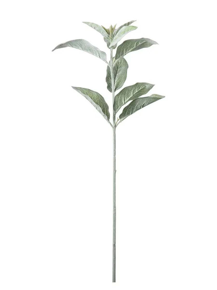 Lammöra, 65 cm