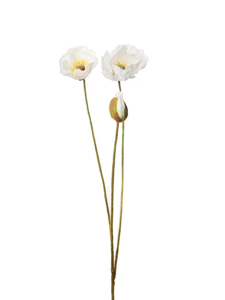 Vallmo, Vit