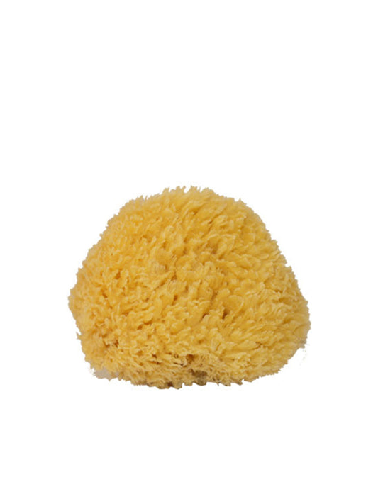 Natursvamp 10 cm