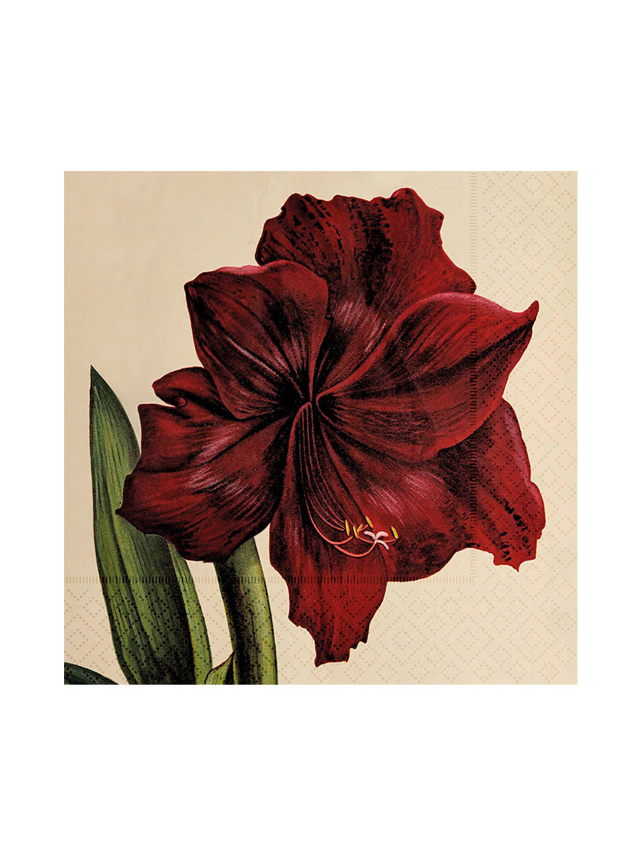 Pappersservetter, 20-pack, Amaryllis