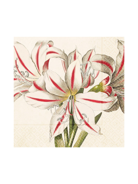 Pappersservetter, 20-pack, Amaryllis