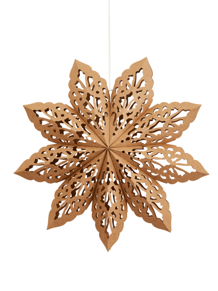 Adventsstjärna 65, Brun