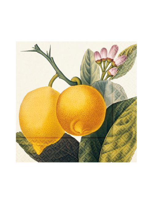 Pappersservetter, 20-pack, Citron