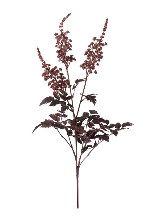 Silverax, Burgundy
