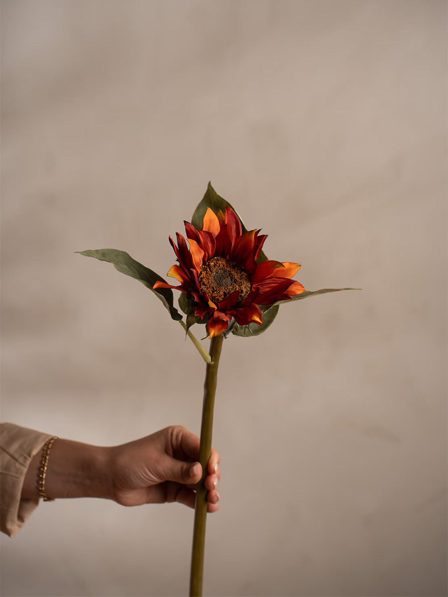 Solros, Orange, 50 cm