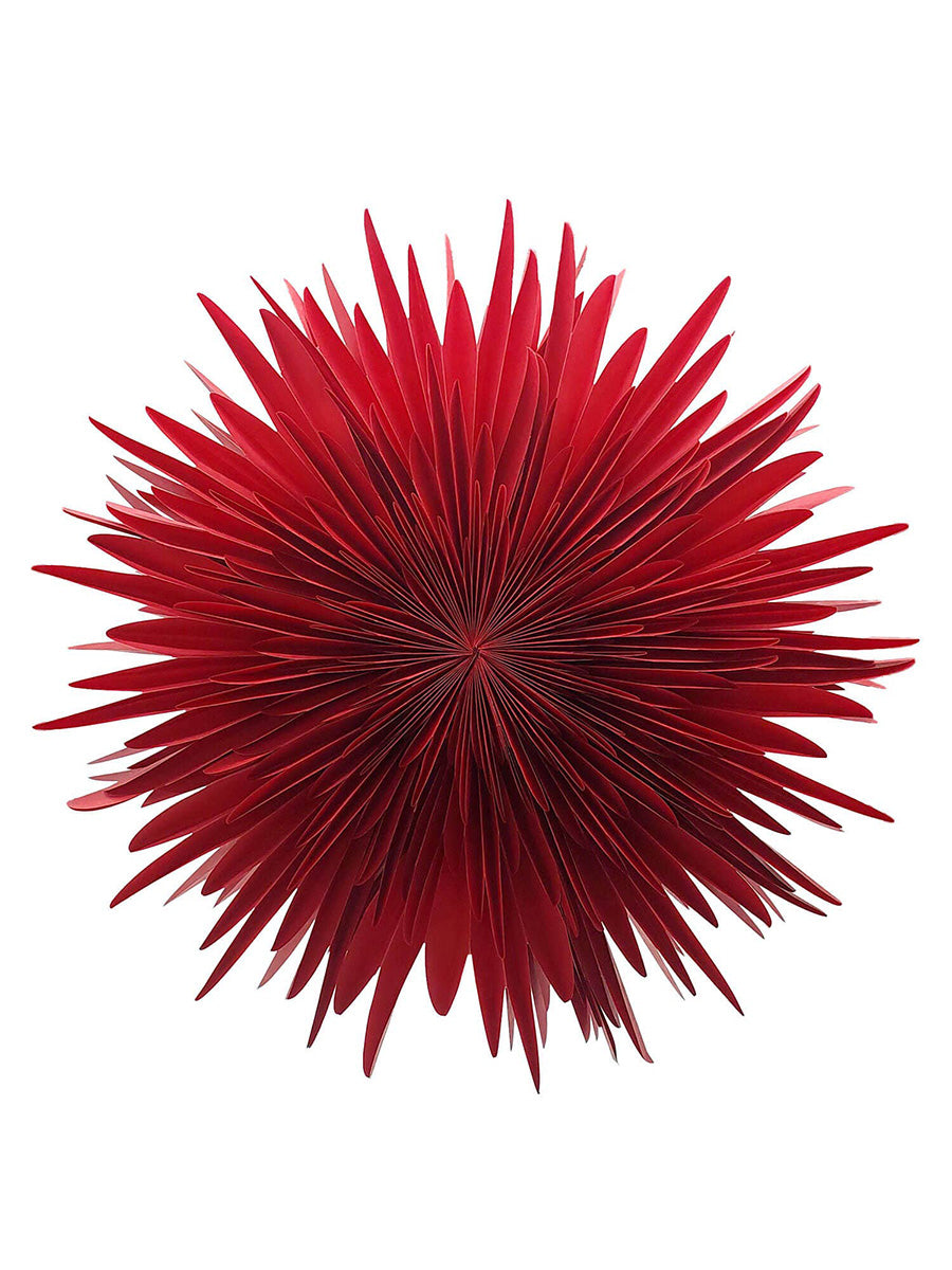 Adventsstjärna Stella Dahlia, 60 cm