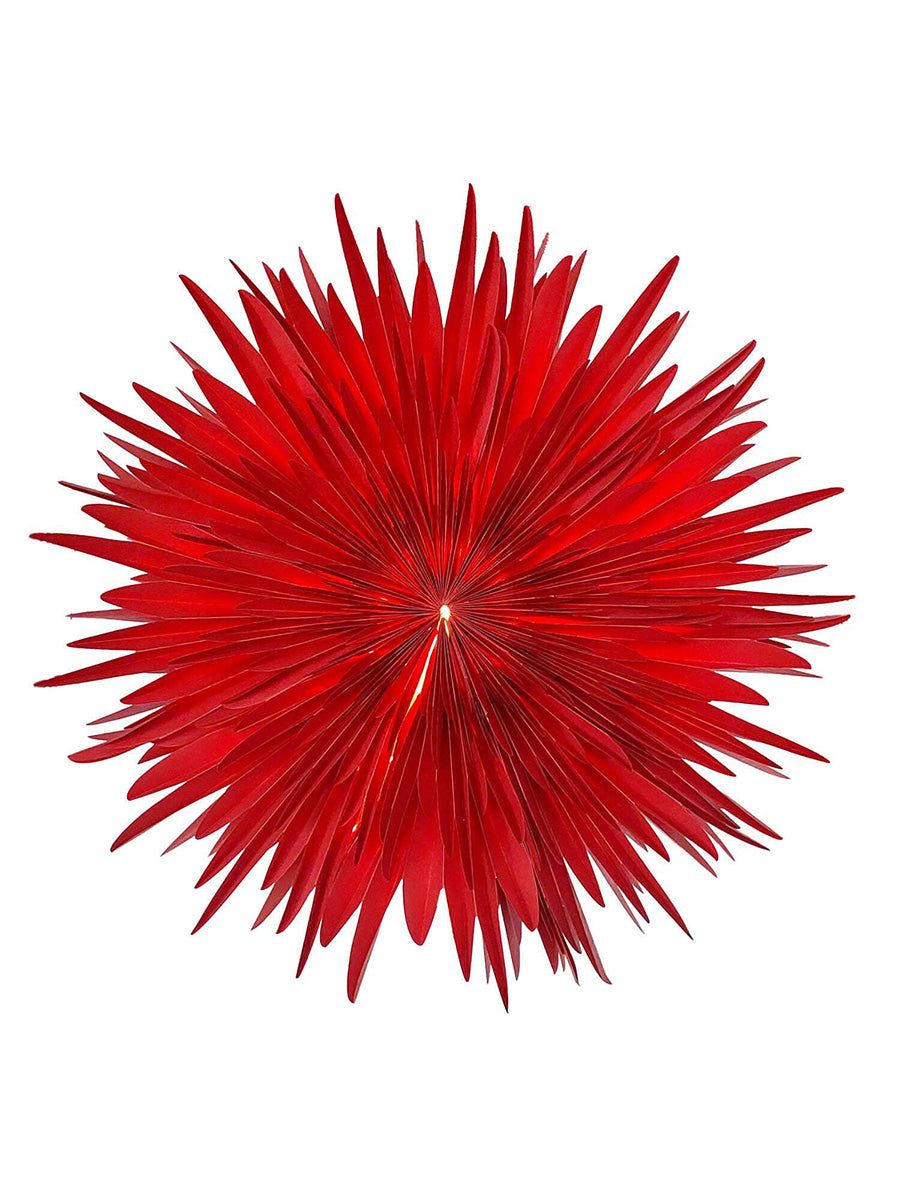Adventsstjärna Stella Dahlia, 60 cm