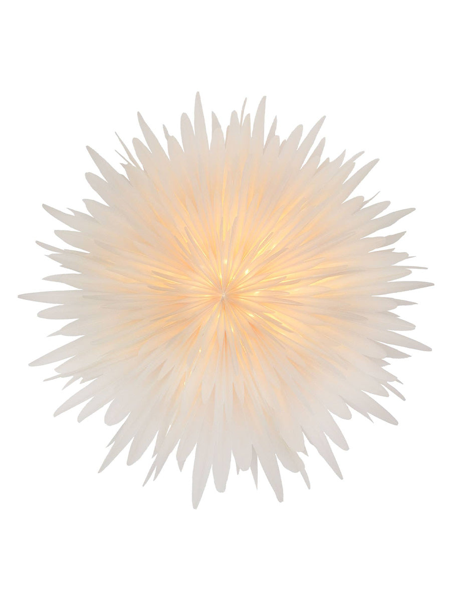 Adventsstjärna Stella Dalhia Vit, 60 cm