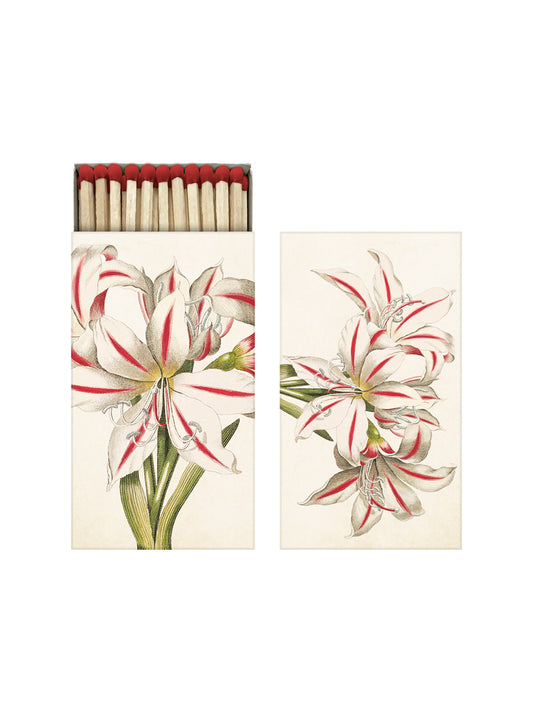Tändsticksask Amaryllis